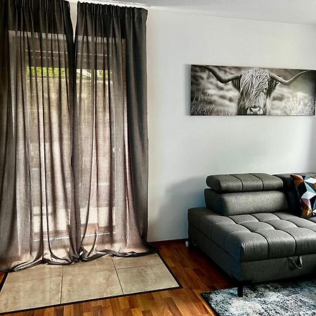 Im Schwarzwald Apartment ซางต์ เกออร์เกน อิม ชวาร์ซวาล์ด ภายนอก รูปภาพ